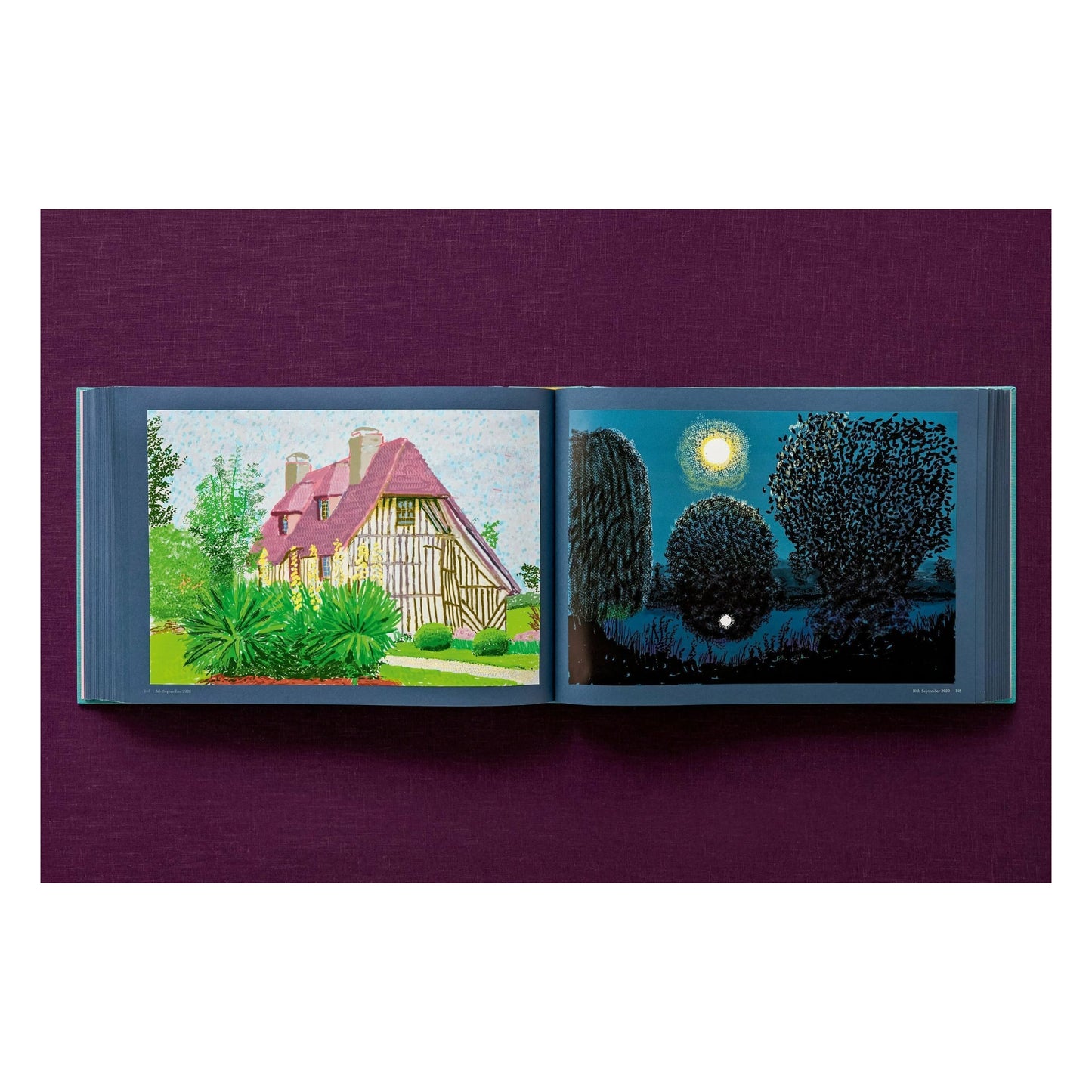 David Hockney. 220 for 2020. Art Edition No. 1–100 ‘Spilt Ink with Tests’ (English)