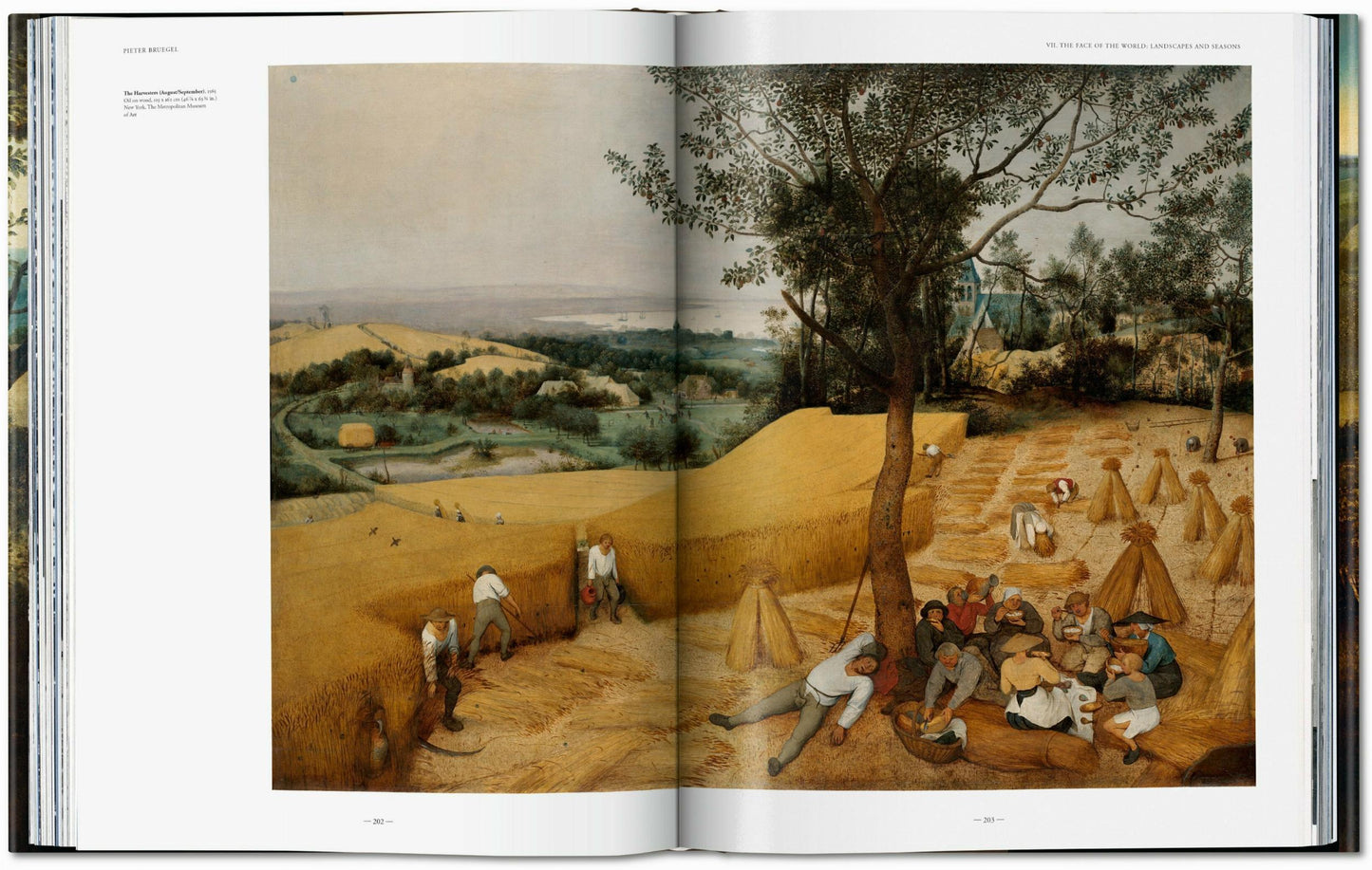 Bruegel. La obra completa (Spanish)