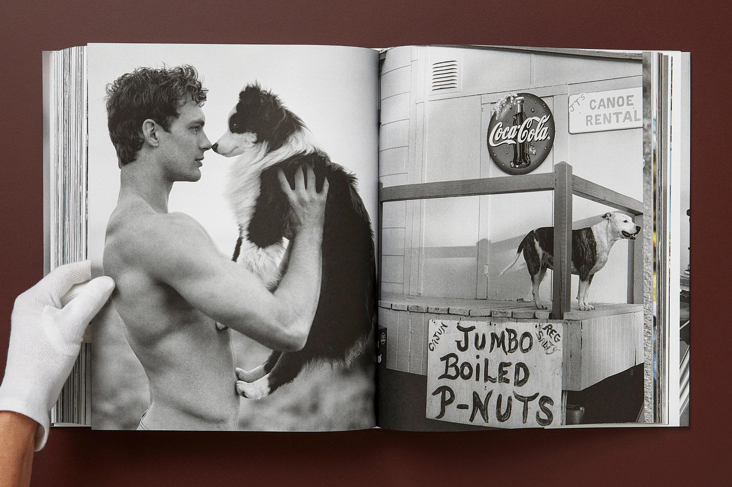 Bruce Weber. The Golden Retriever Photographic Society (German, French, English)