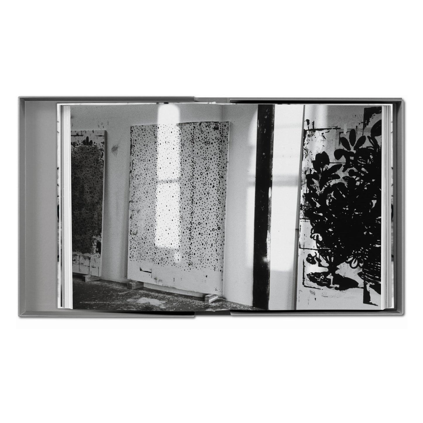 Christopher Wool (German, French, English) (AP)