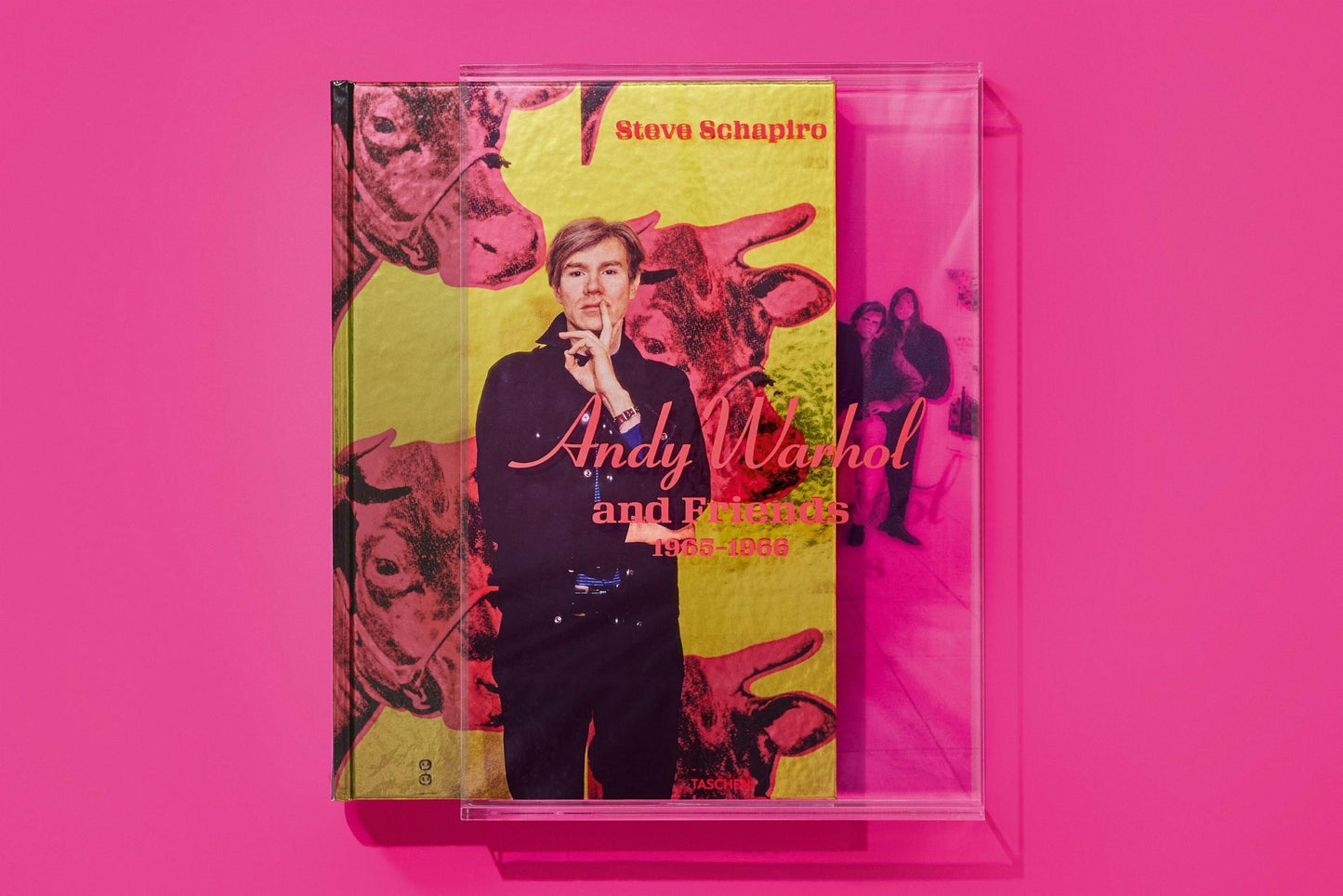 Steve Schapiro. Andy Warhol and Friends (English) (SA)