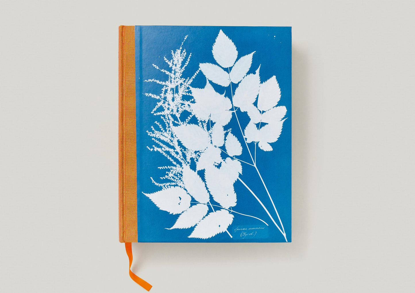 Anna Atkins. Cyanotypes (German, French, English) (FFE)