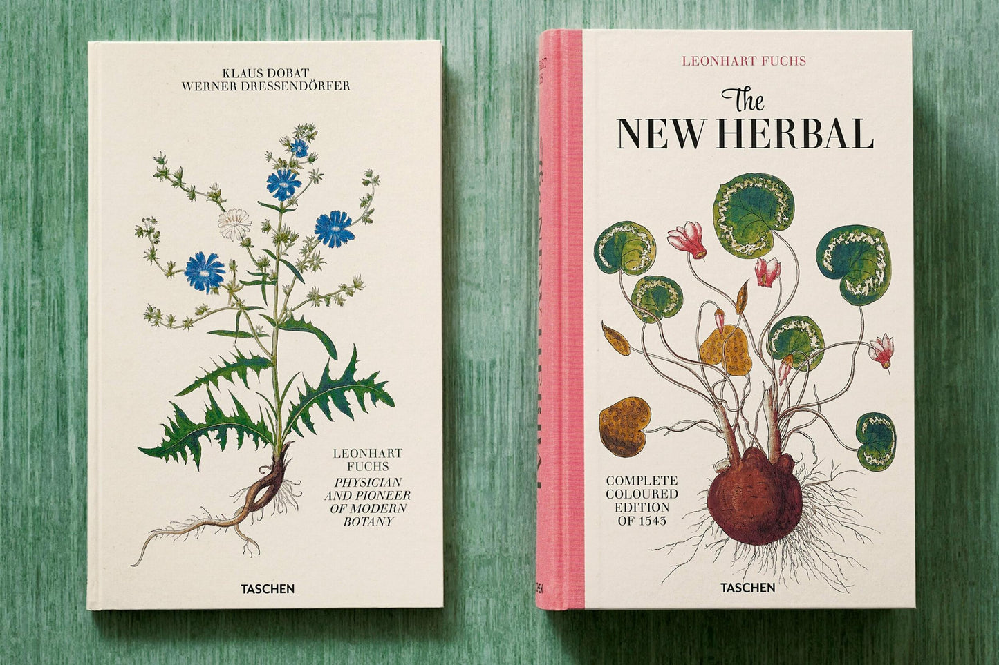 Leonhart Fuchs. The New Herbal (English)