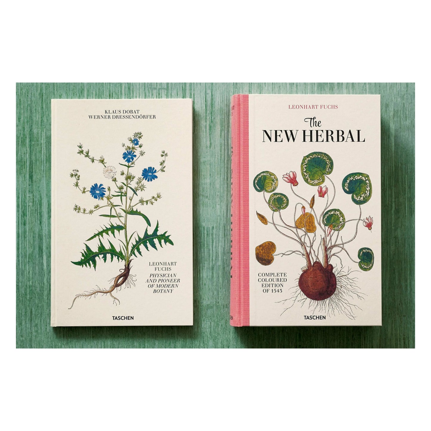 Leonhart Fuchs. The New Herbal (English)