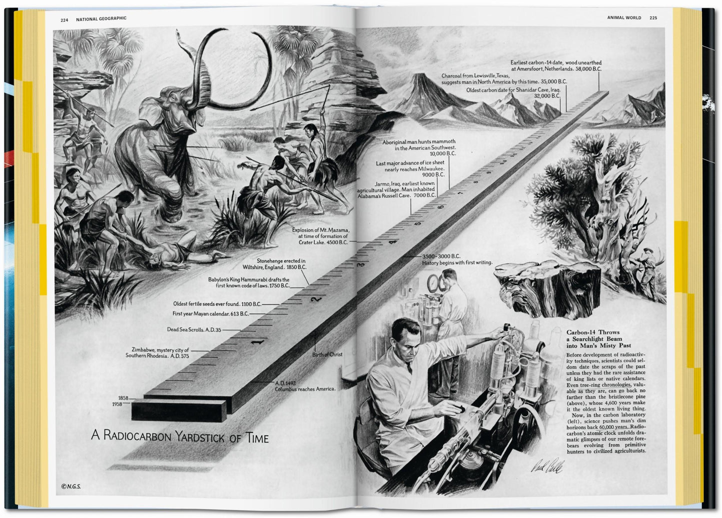 National Geographic Infographics (Spanish, Italian, Portuguese)