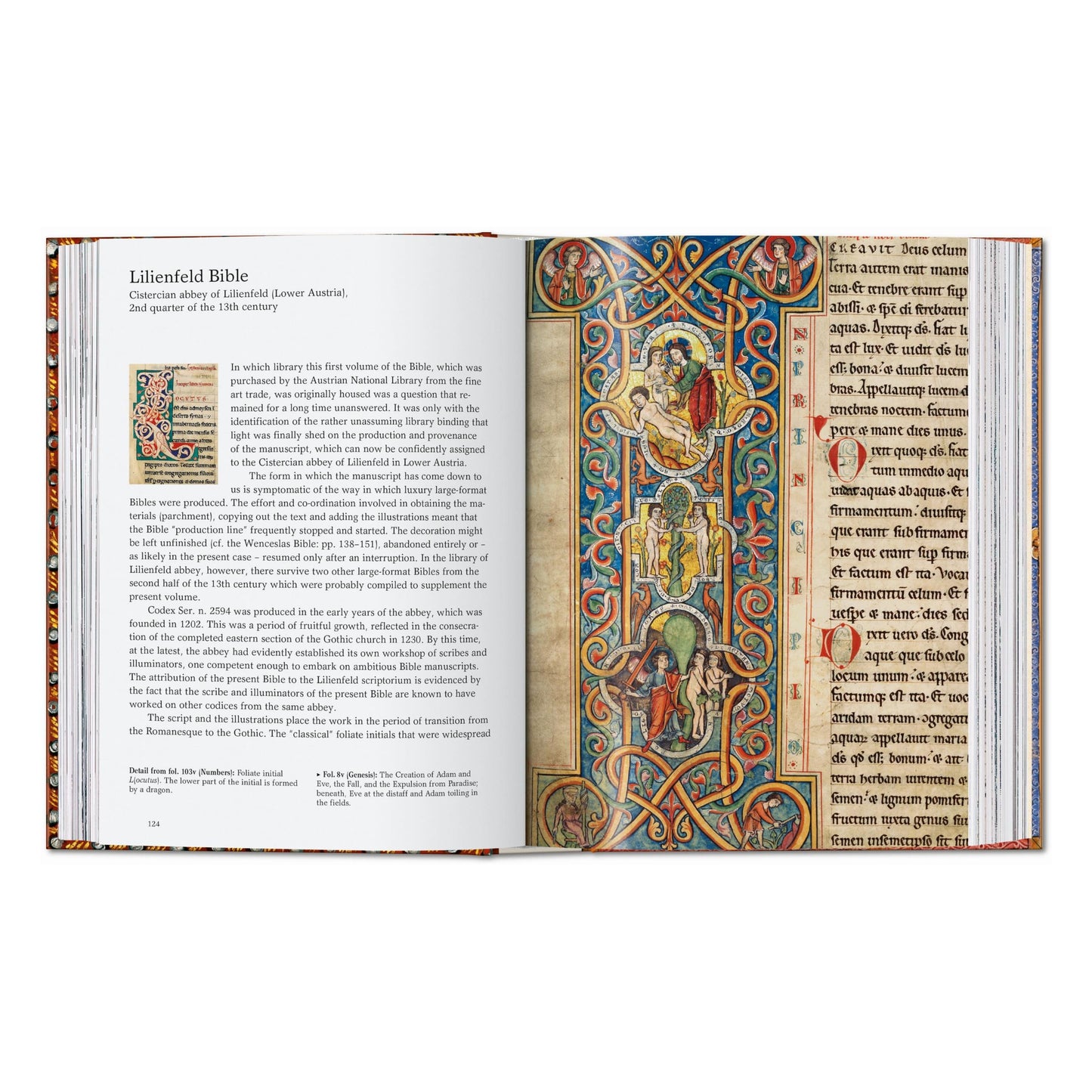 The Book of Bibles. 45th Ed. (English)