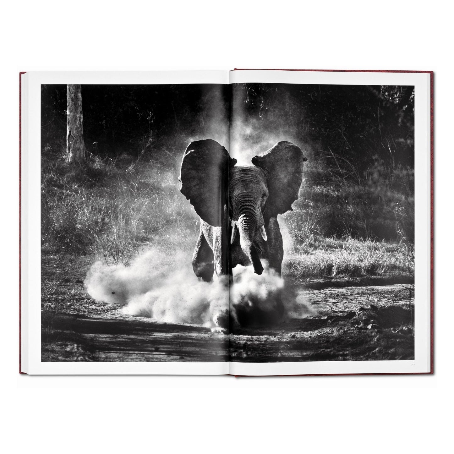Sebastião Salgado. Genesis. Art Edition No. 1–100 ‘Two Mursi Women, Omo Valley, Ethiopia’ (English)