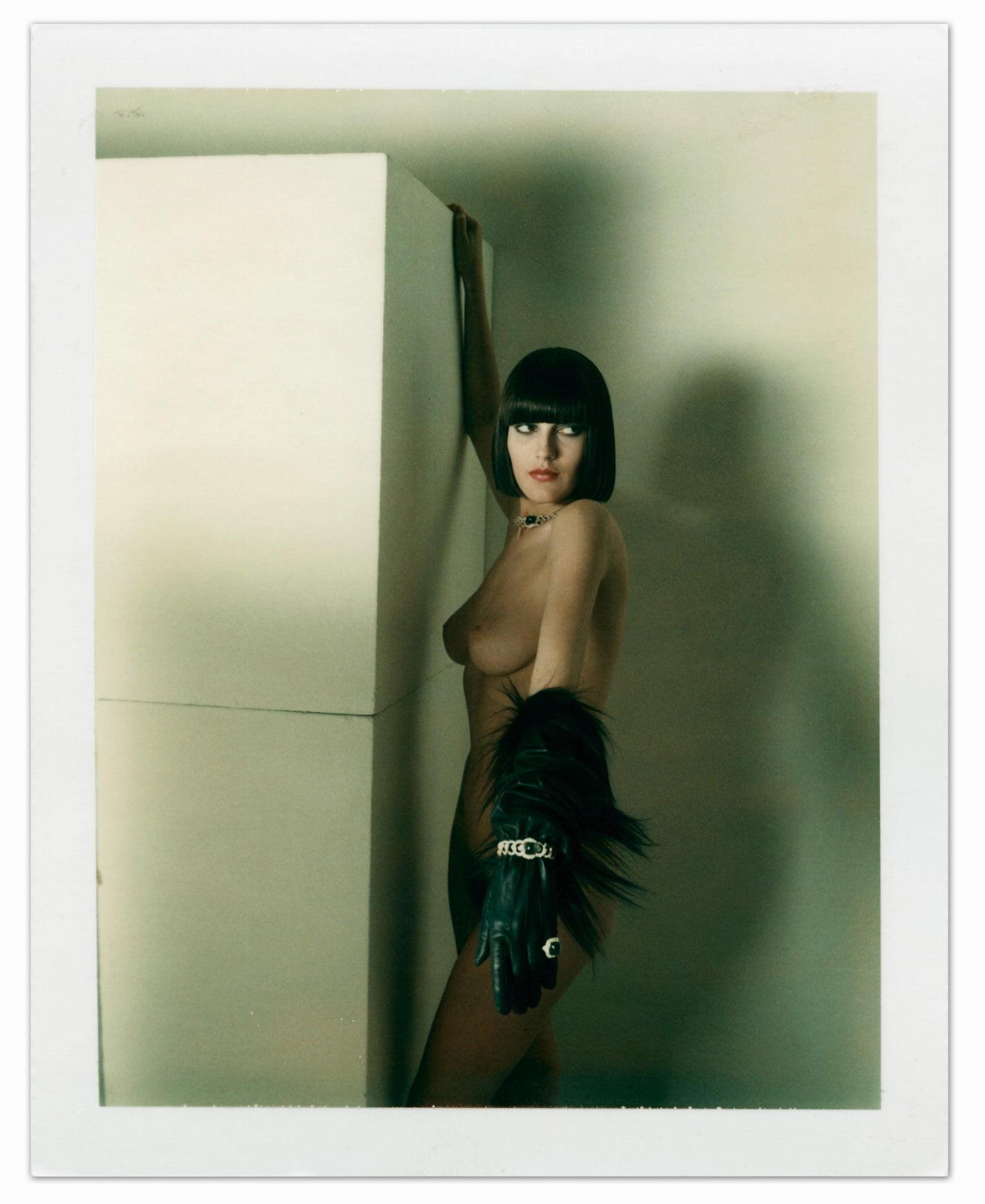 Helmut Newton. Polaroids (German, French, English)