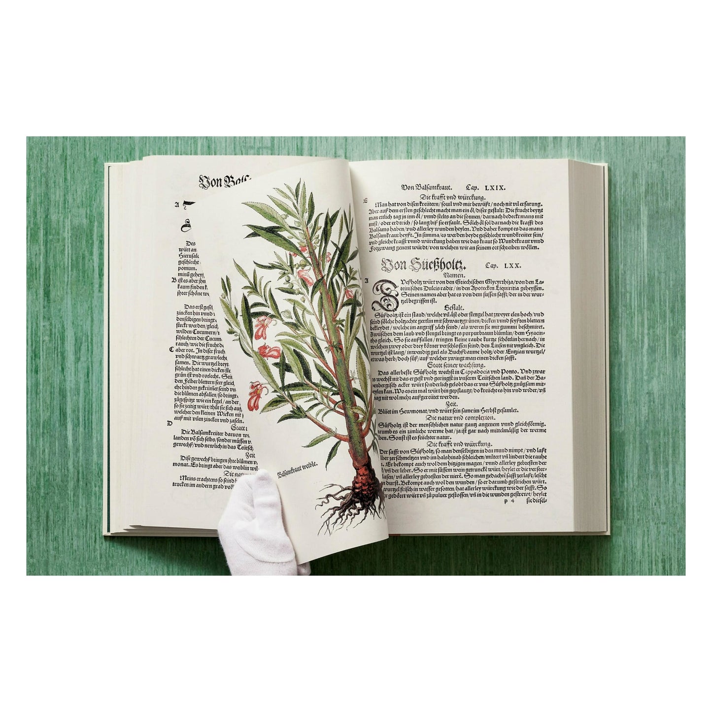 Leonhart Fuchs. The New Herbal (English)