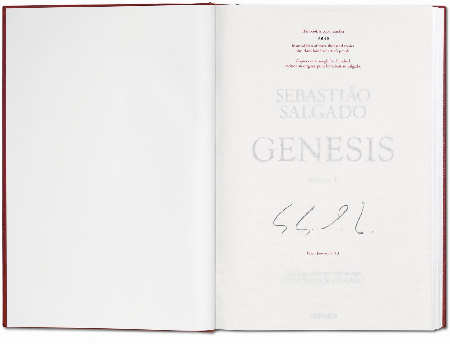 Sebastião Salgado. GENESIS, Art Edition No. 201–300 ‘Black-Browed Albatrosses, Falkland Islands’ (English) (AP)