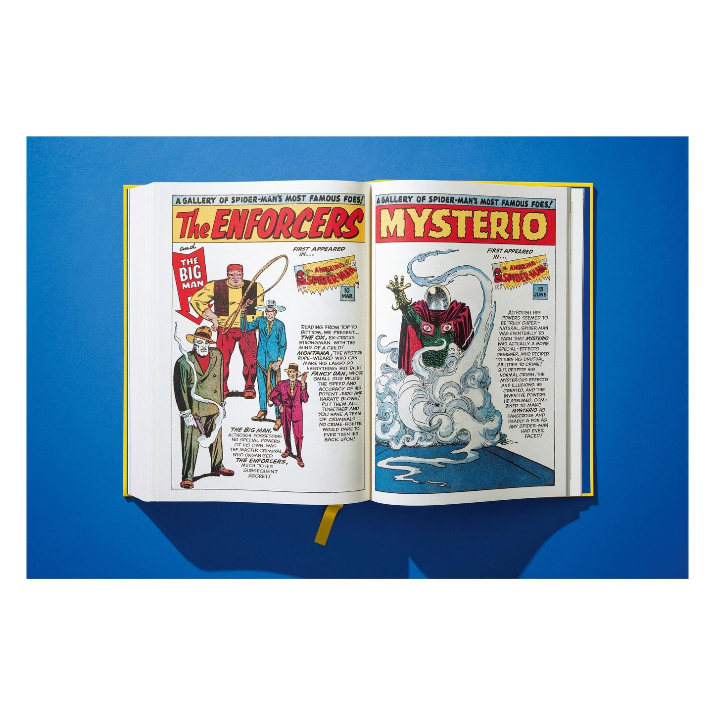 Marvel Comics Library, Spider-Man, Vol. 1, 1962-1964 (English) (AP)