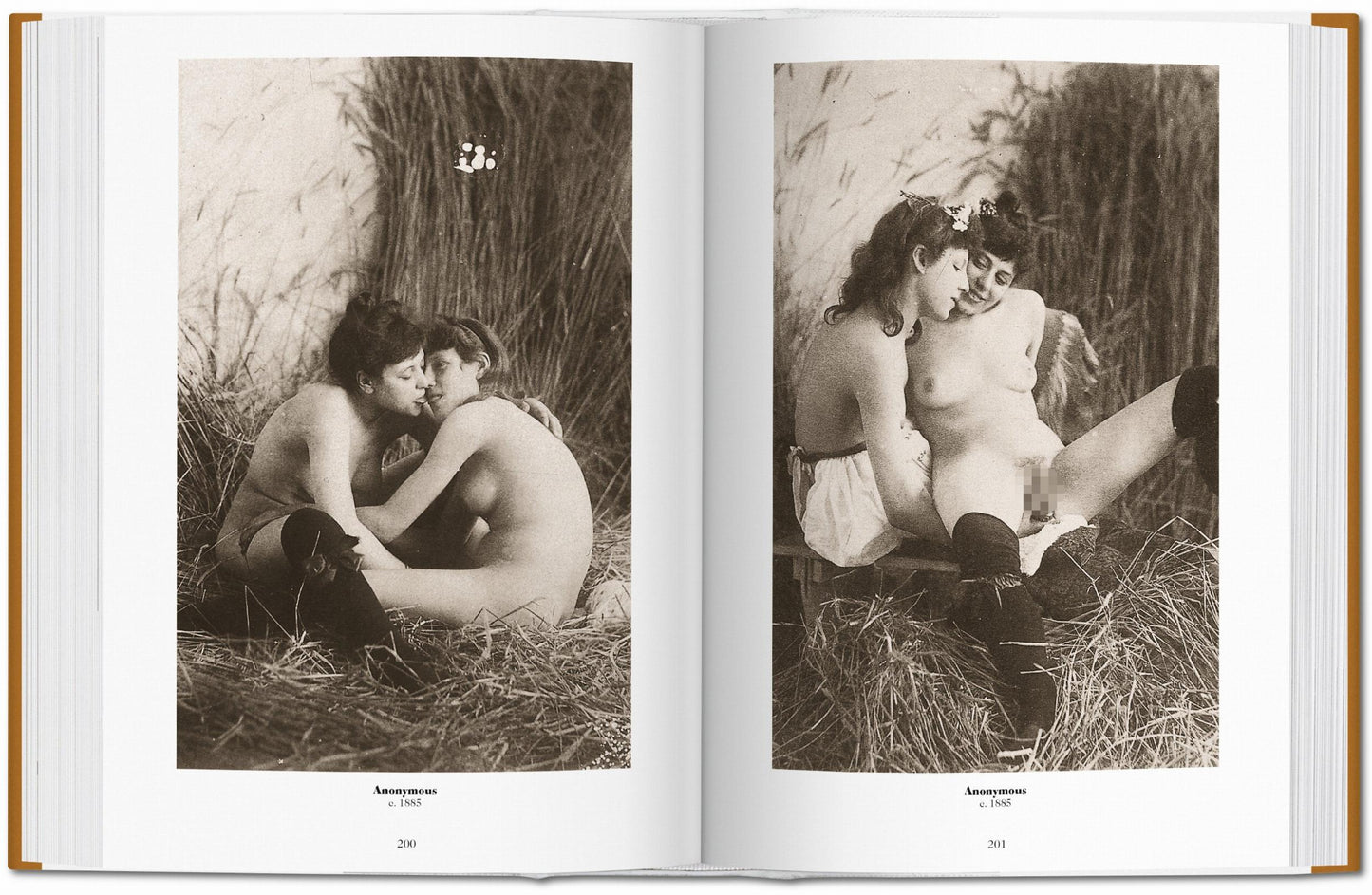 1000 Nudes. A History of Erotic Photography from 1839-1939 (German, French, English)