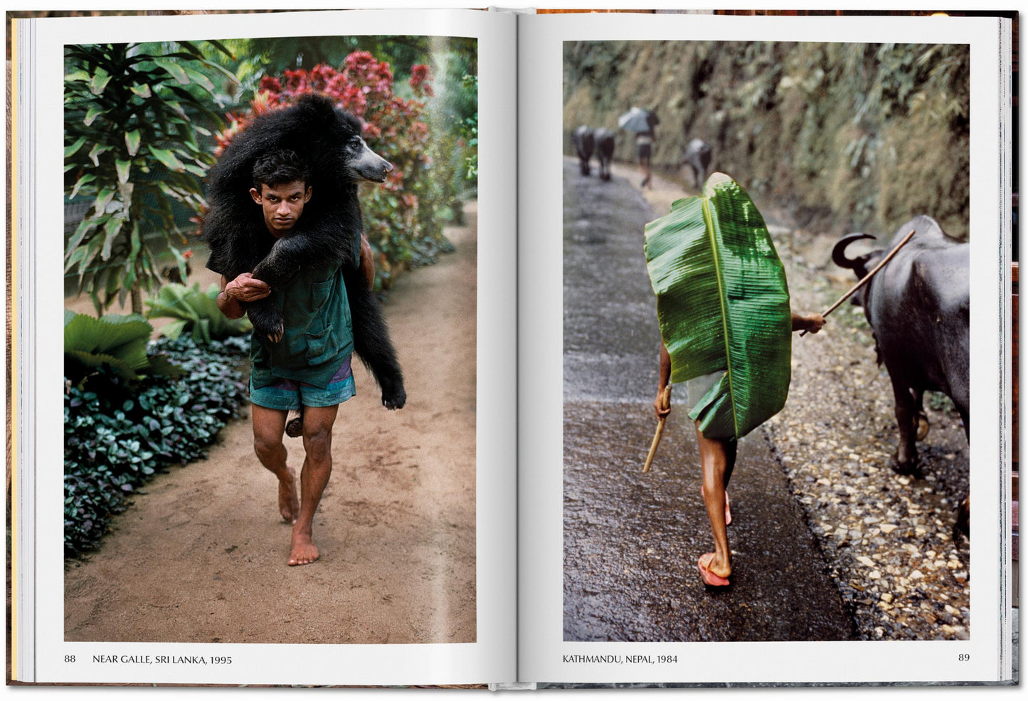 Steve McCurry. Animals (English)