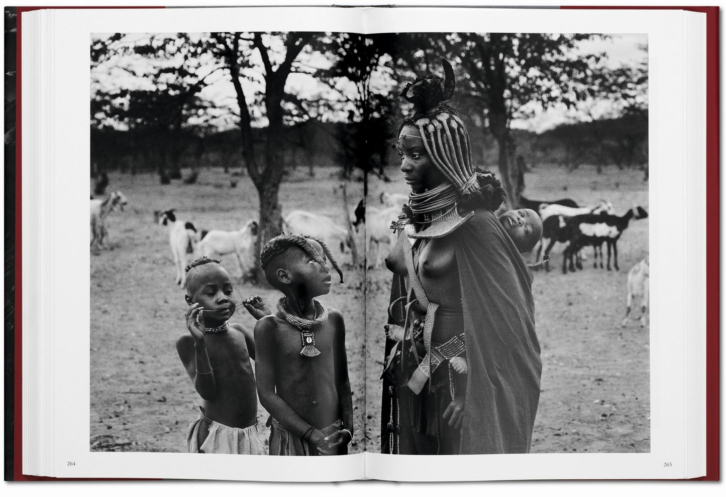 Sebastião Salgado. Genesis (English)