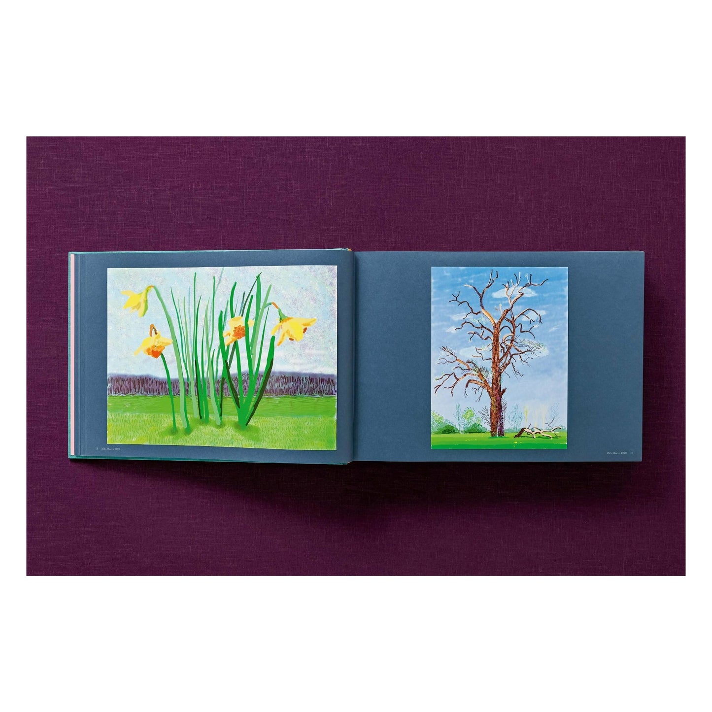 David Hockney. 220 for 2020. Art Edition No. 1–100 ‘Spilt Ink with Tests’ (English) (AP)
