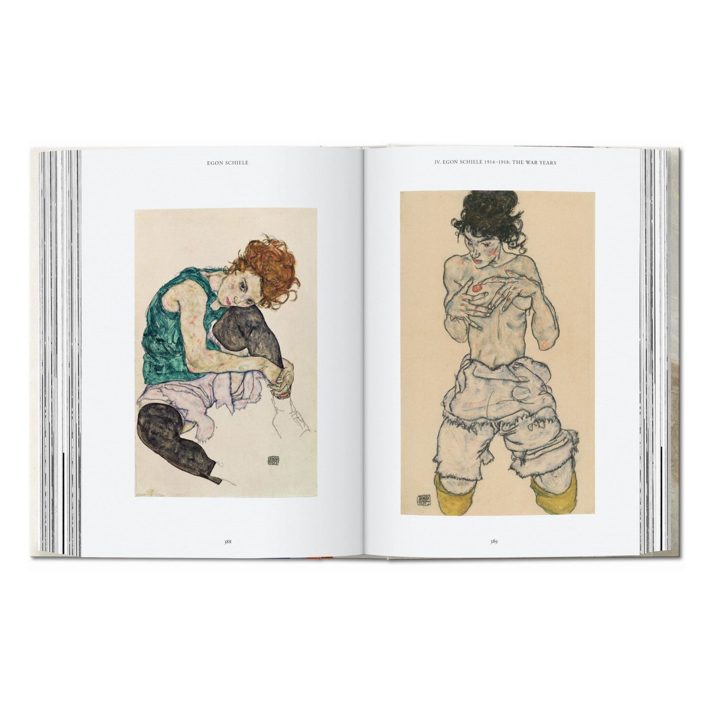 Egon Schiele. The Paintings. 45th Ed. (English)