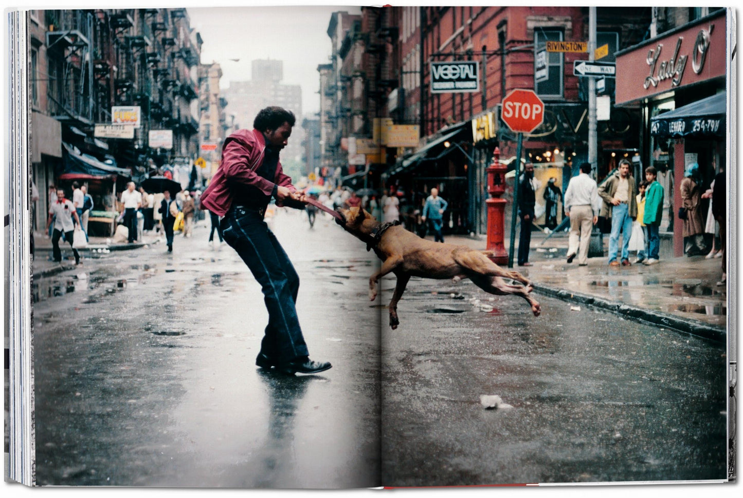 New York. Portrait of a City (German, French, English) (SA)