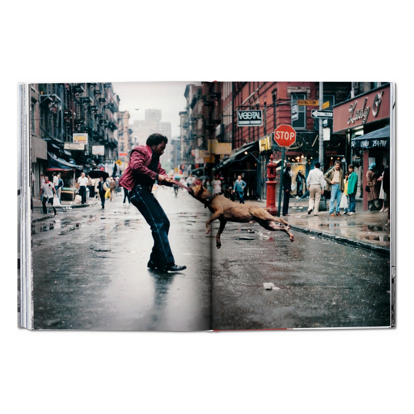 New York. Portrait of a City (German, French, English)