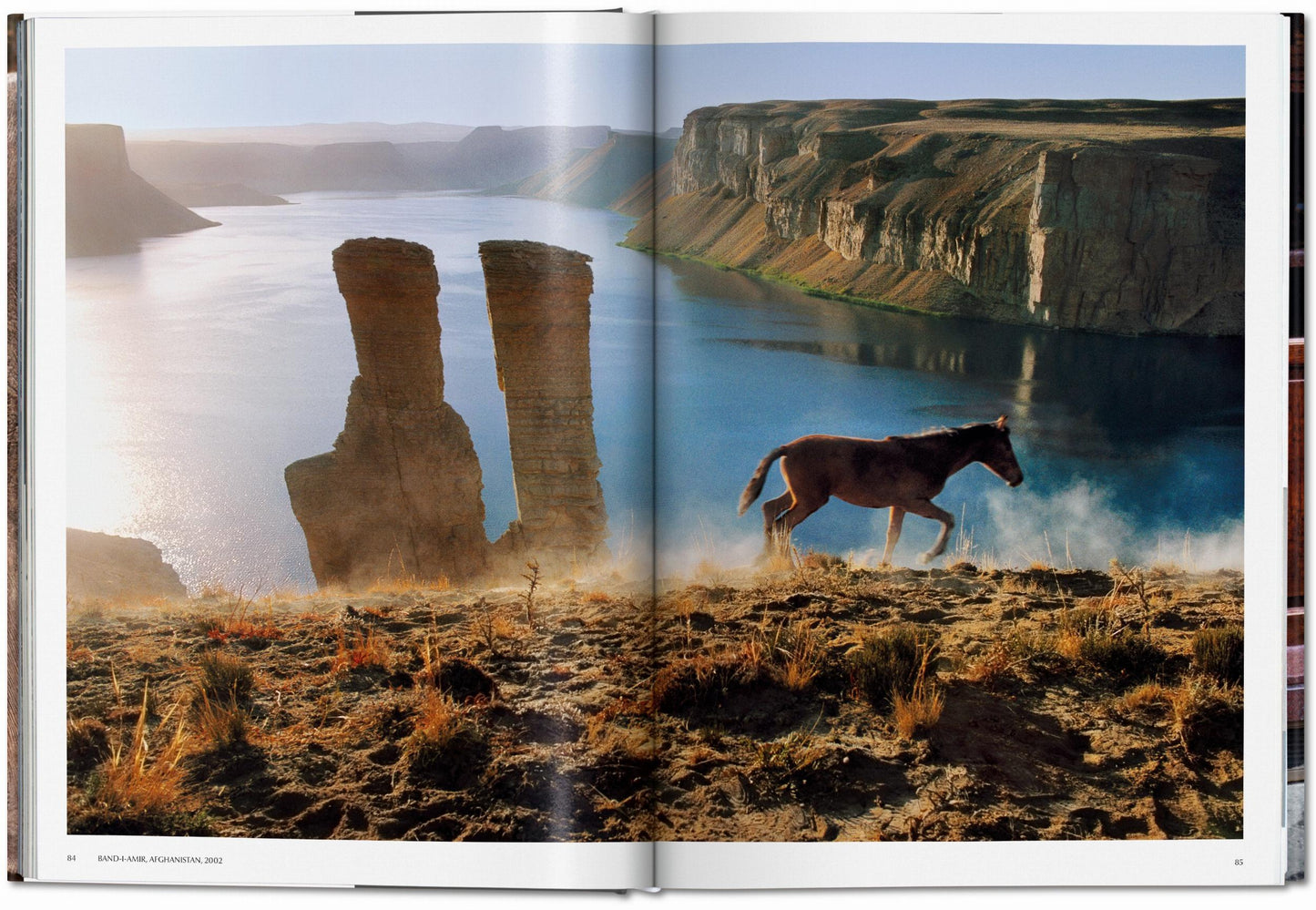 Steve McCurry. Animals (German, French, English)