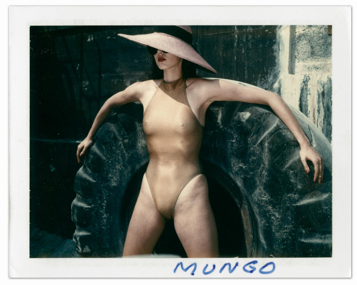 Helmut Newton. Polaroids (German, French, English)