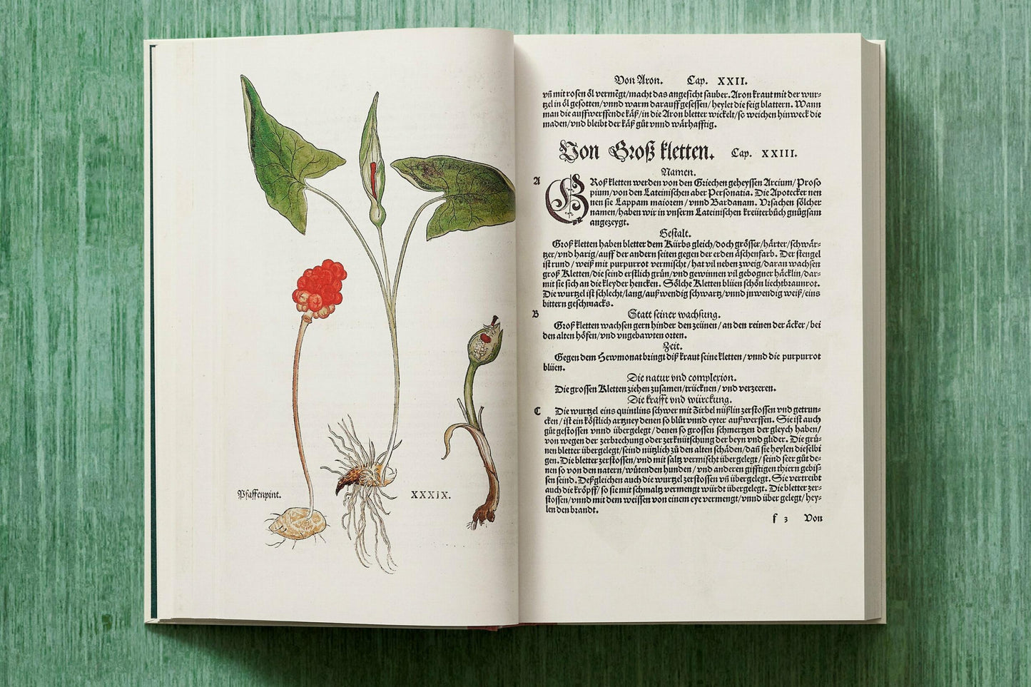 Leonhart Fuchs. The New Herbal (English)