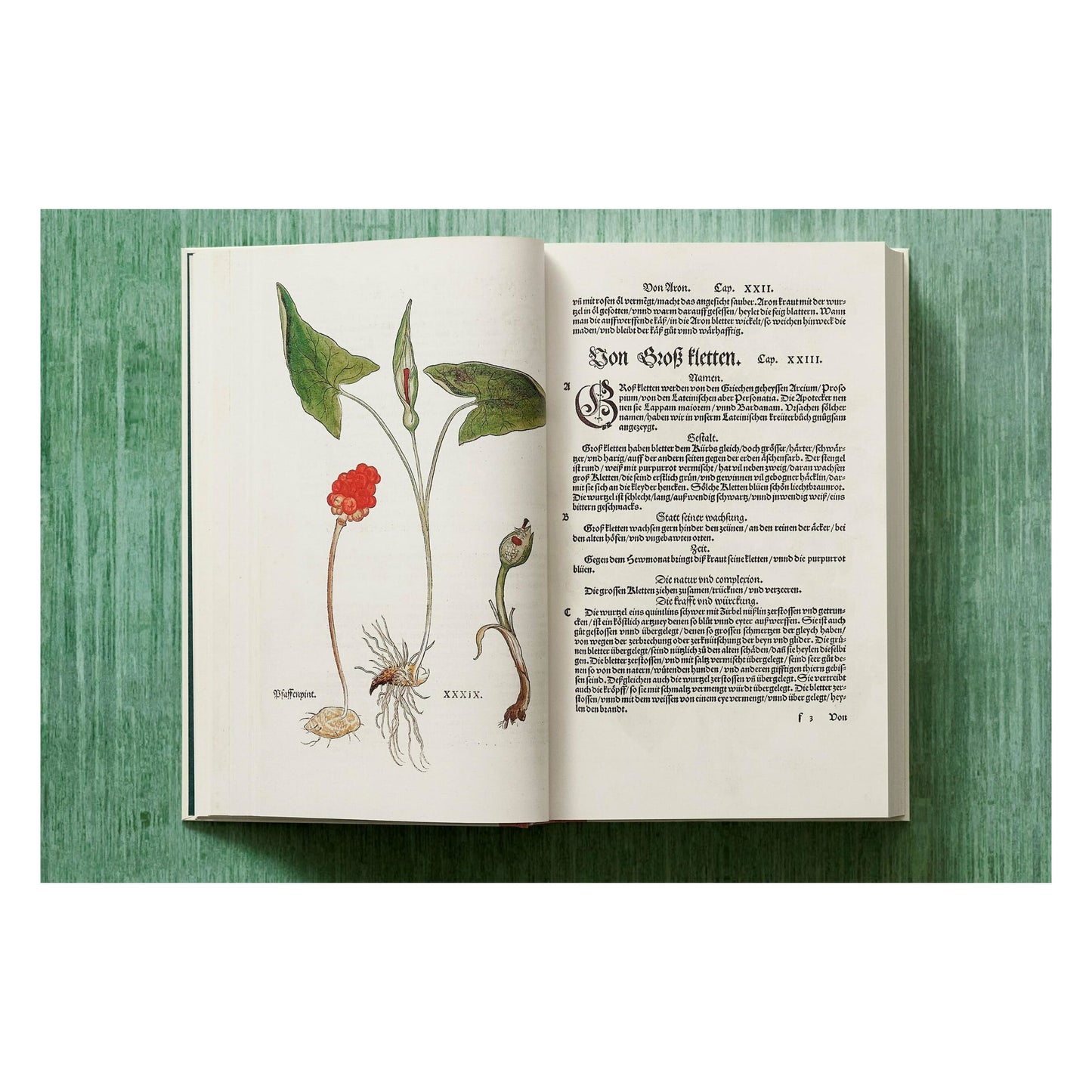 Leonhart Fuchs. The New Herbal (English)