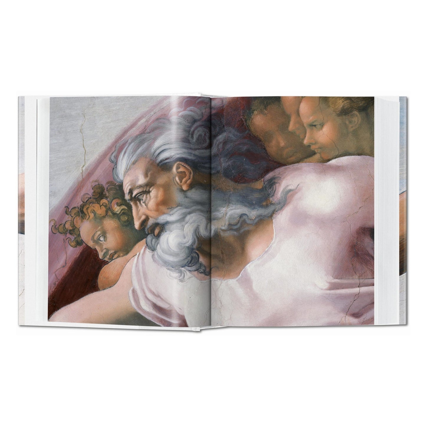 Michelangelo. The Complete Paintings, Sculptures and Architecture (English)