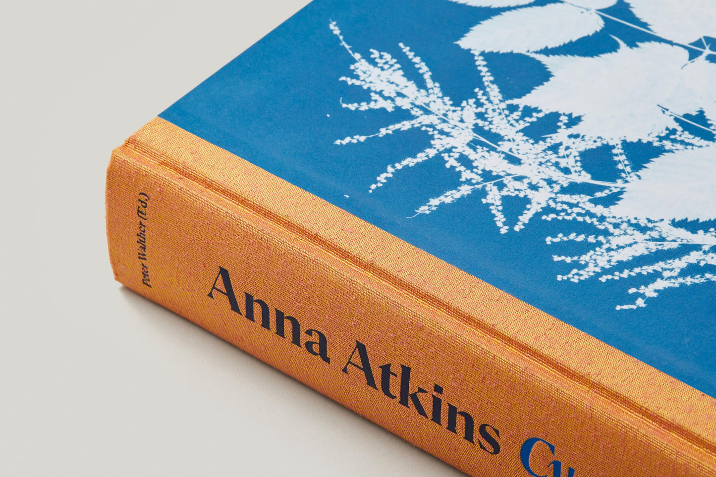 Anna Atkins. Cyanotypes (German, French, English)