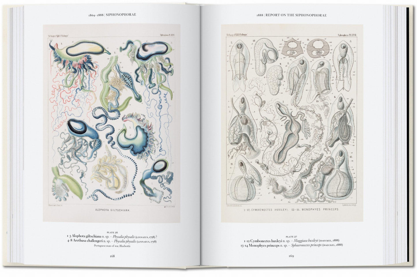 L’art et la science de Ernst Haeckel. 40th Ed. (French)