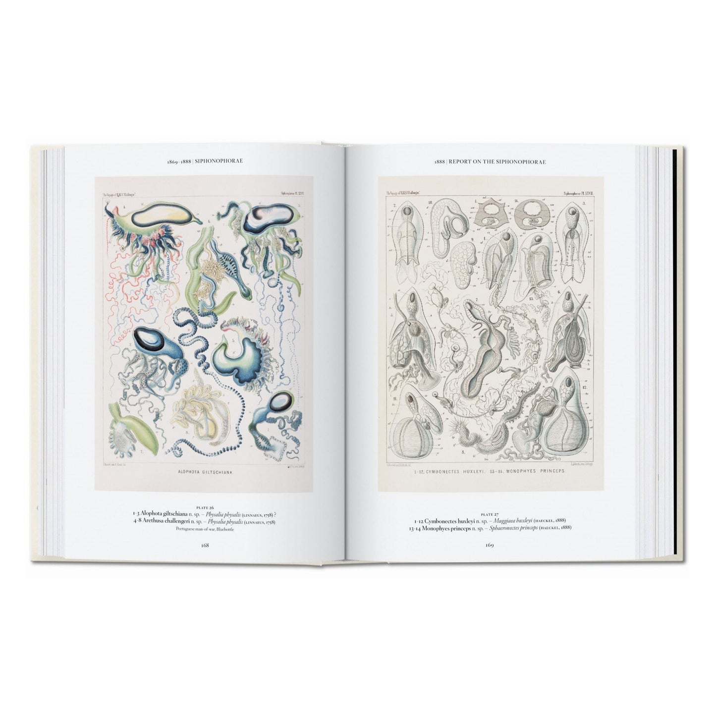 The Art and Science of Ernst Haeckel. 45th Ed. (English)