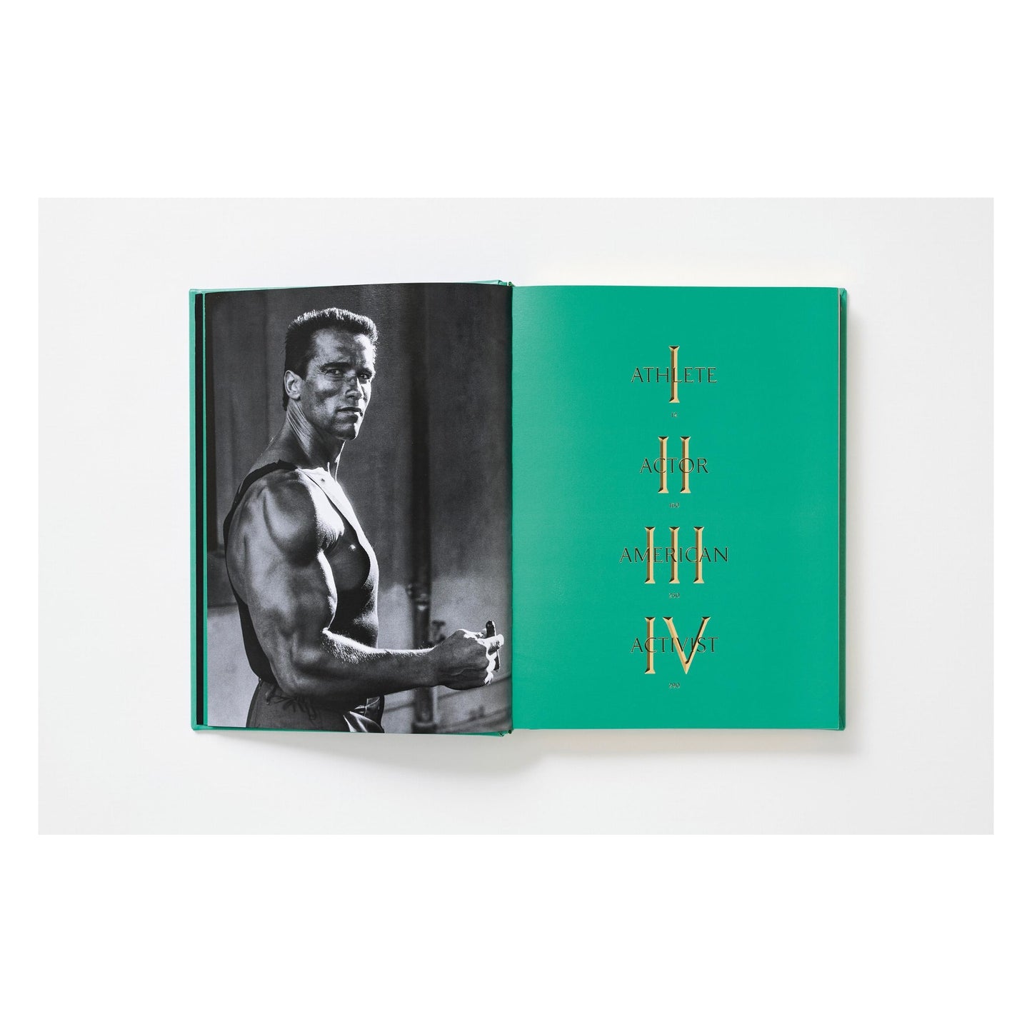 ARNOLD. Capitello Edition (English)
