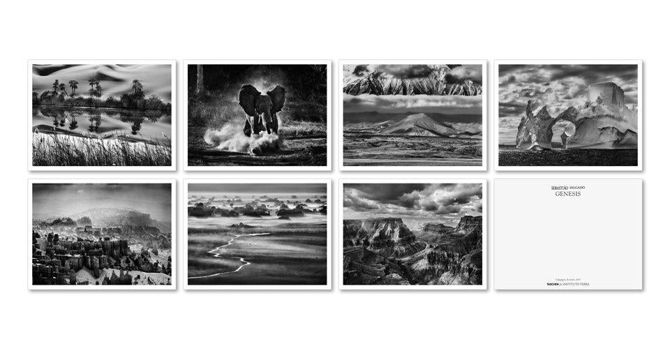 Sebastião Salgado. Genesis. Postcard Set (German, Spanish, French, English)