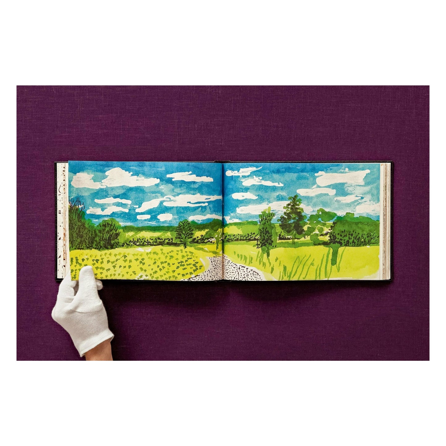 David Hockney. 220 for 2020 (English) (AP)