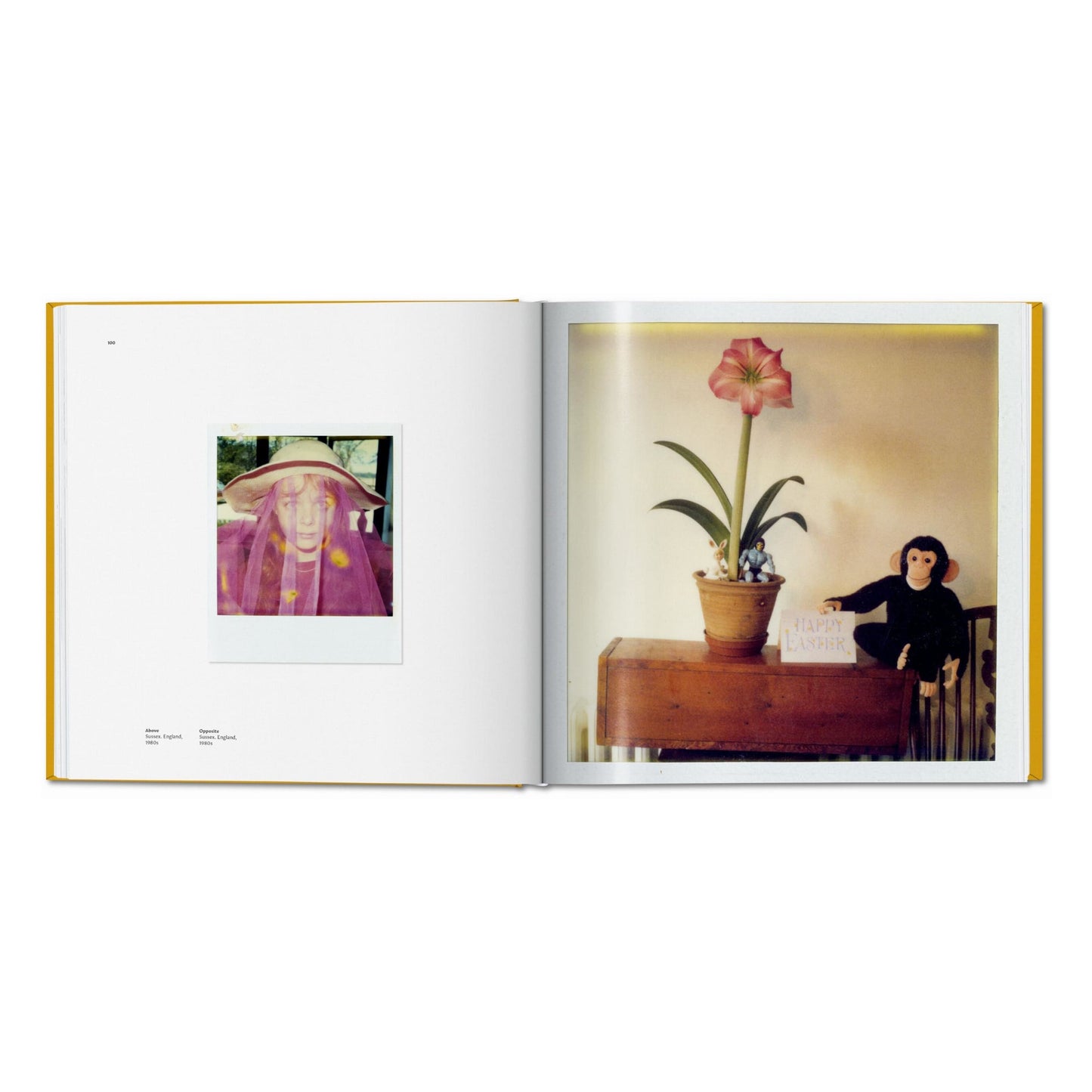 Linda McCartney. The Polaroid Diaries, Art Edition No. 63–124 ‘Sussex, England, 1980s’ (German, French, English)