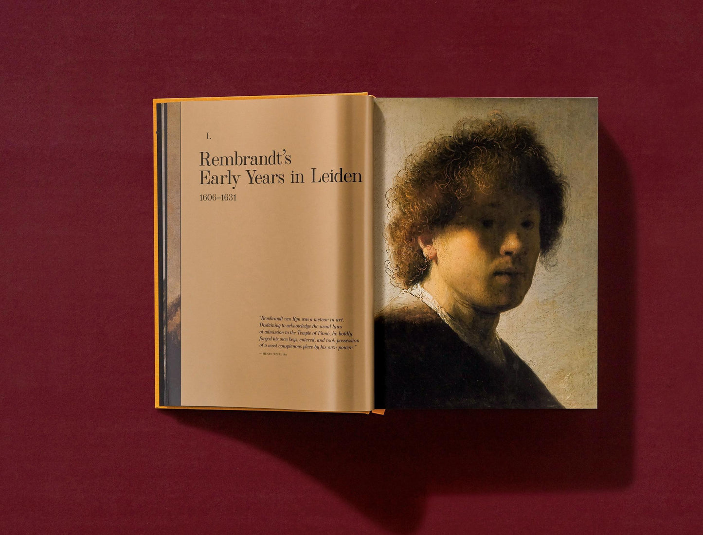 Rembrandt. The Complete Paintings (English)