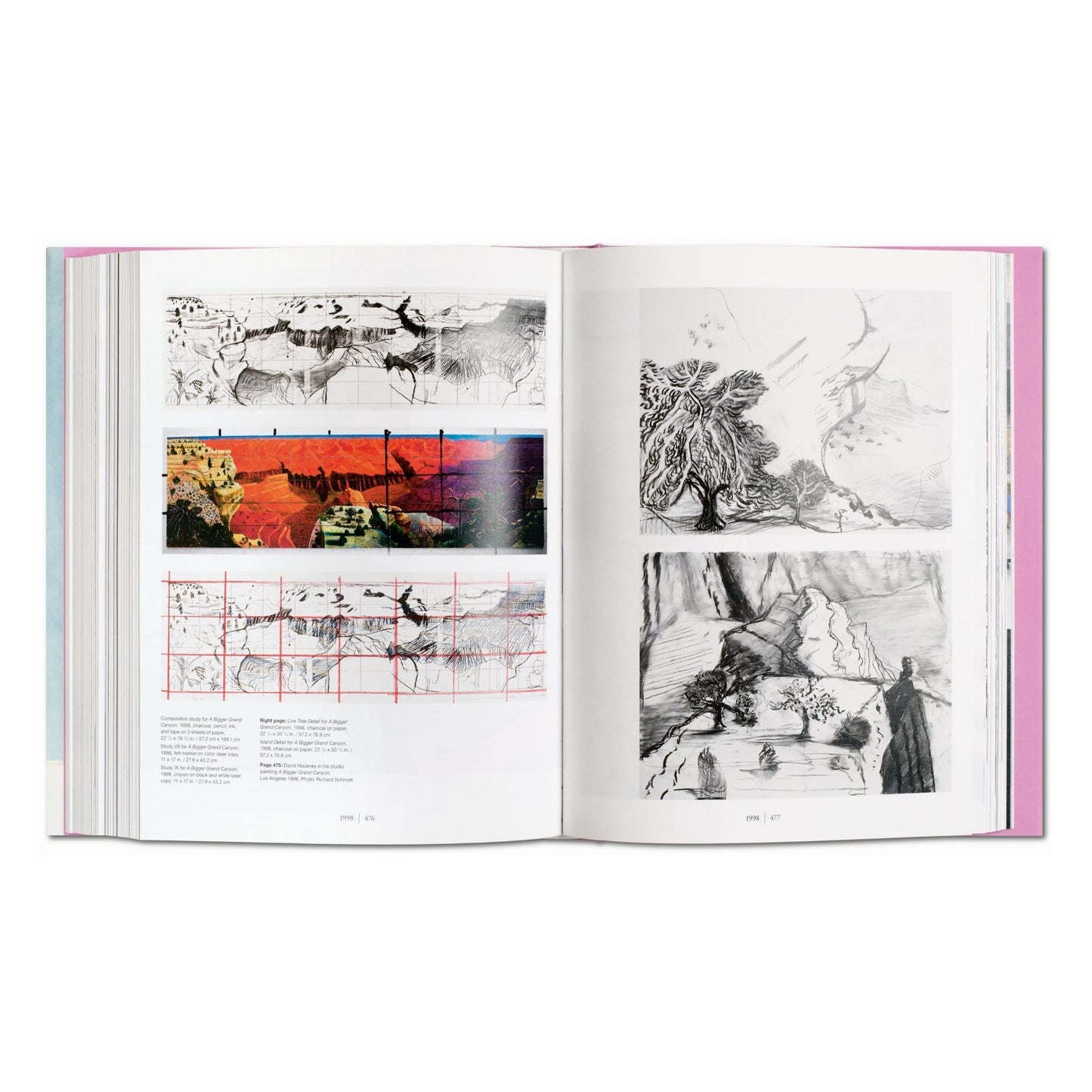 David Hockney. A Bigger Book (English)