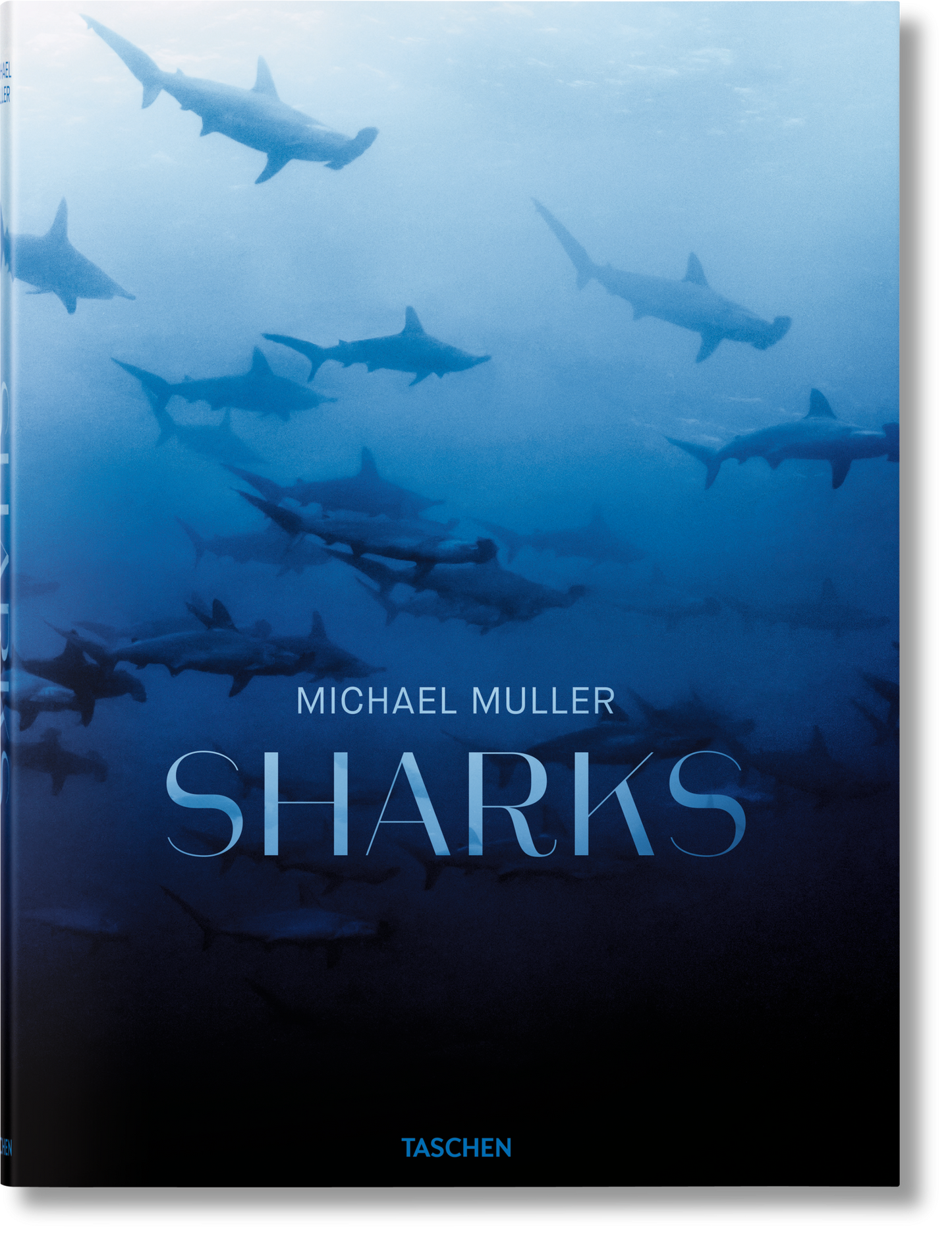 Michael Muller. Sharks (English)