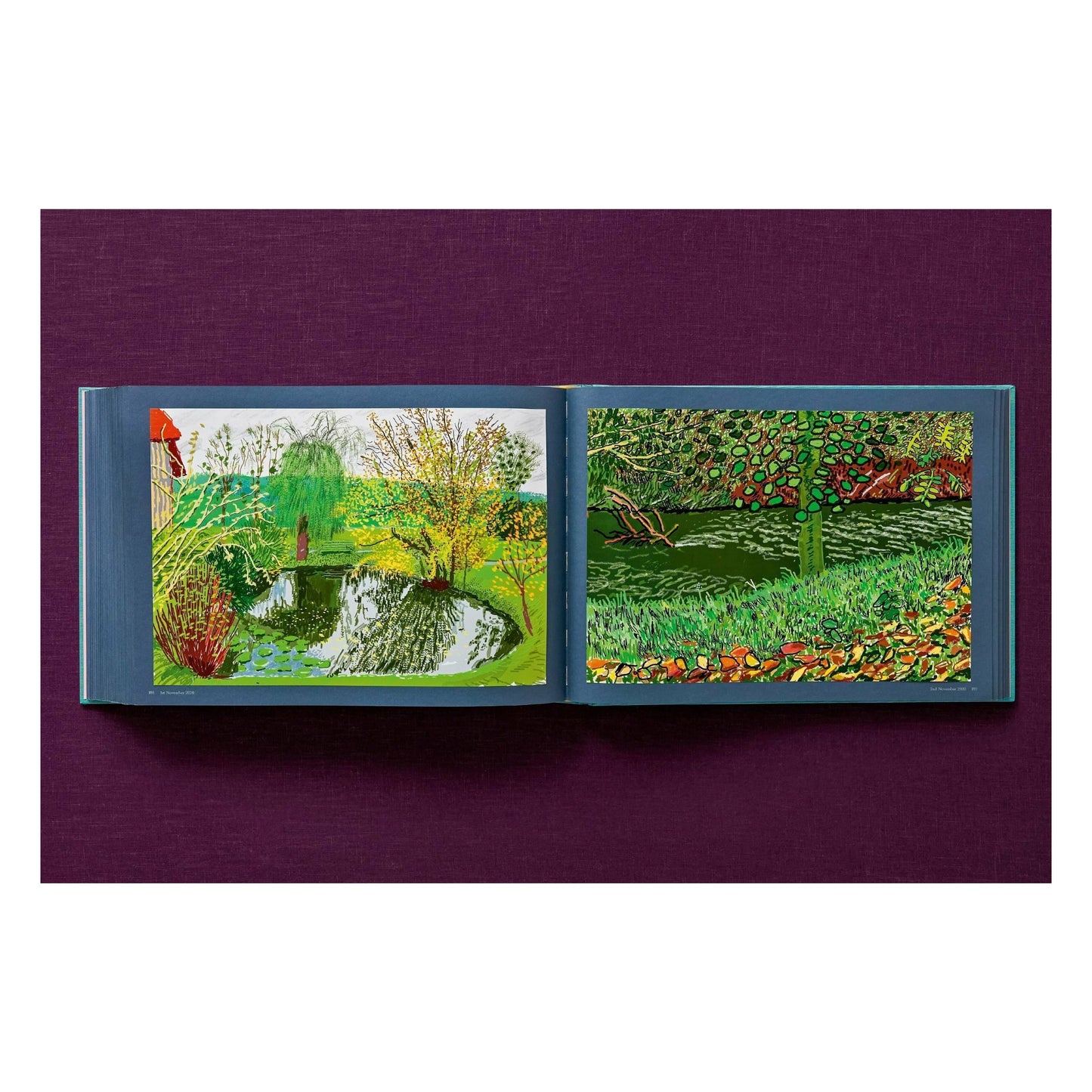 David Hockney. 220 for 2020. Art Edition No. 201–300 ‘Two Chairs and Rain on Window’ (English)