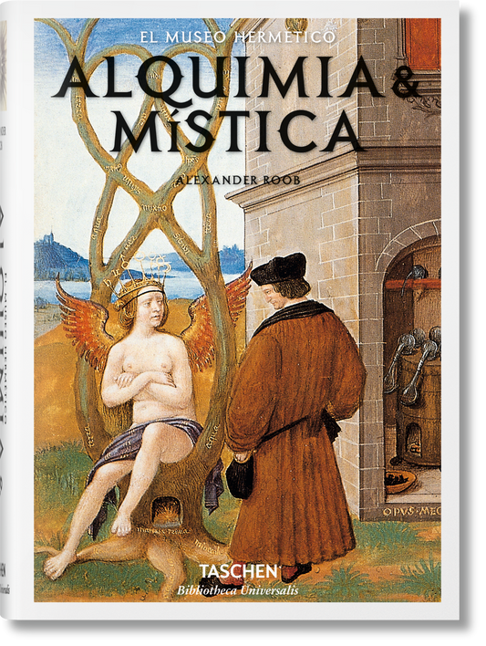 Alquimia & mística (Spanish)