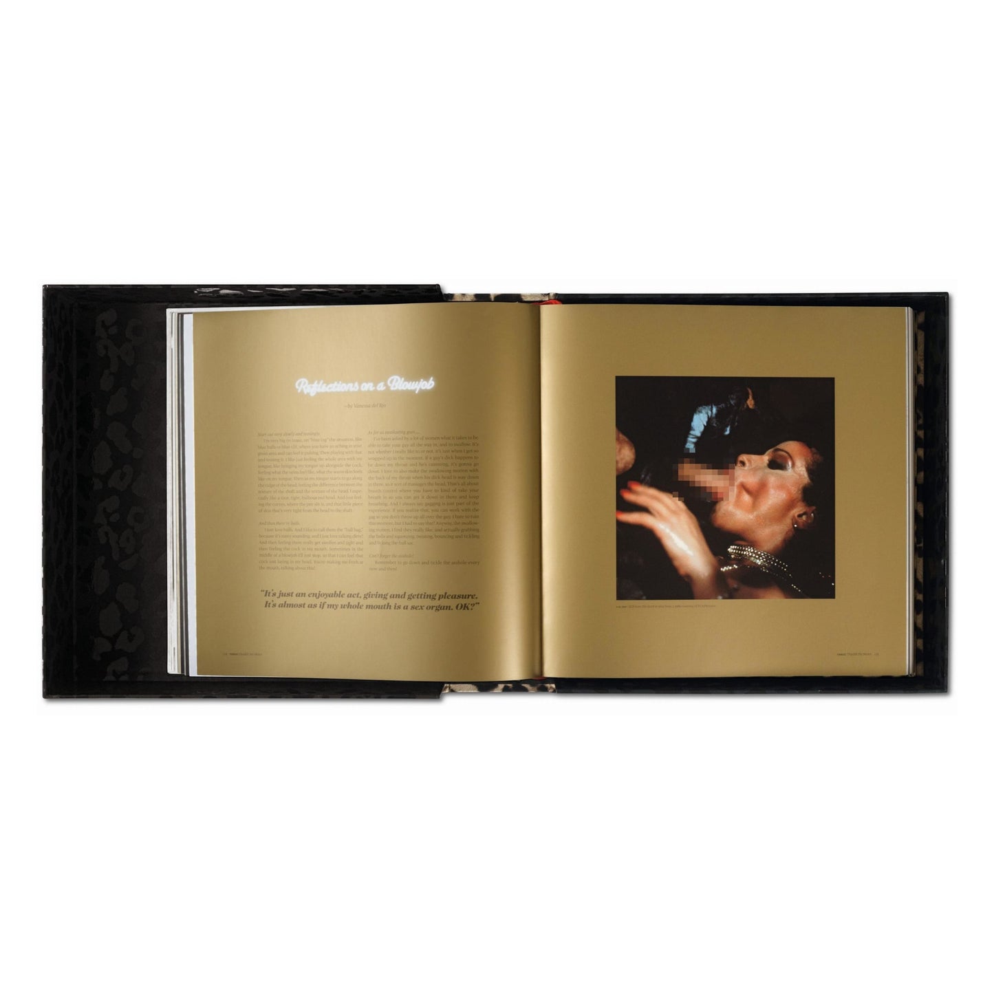 Vanessa del Rio. Crumb Edition (German, French, English)