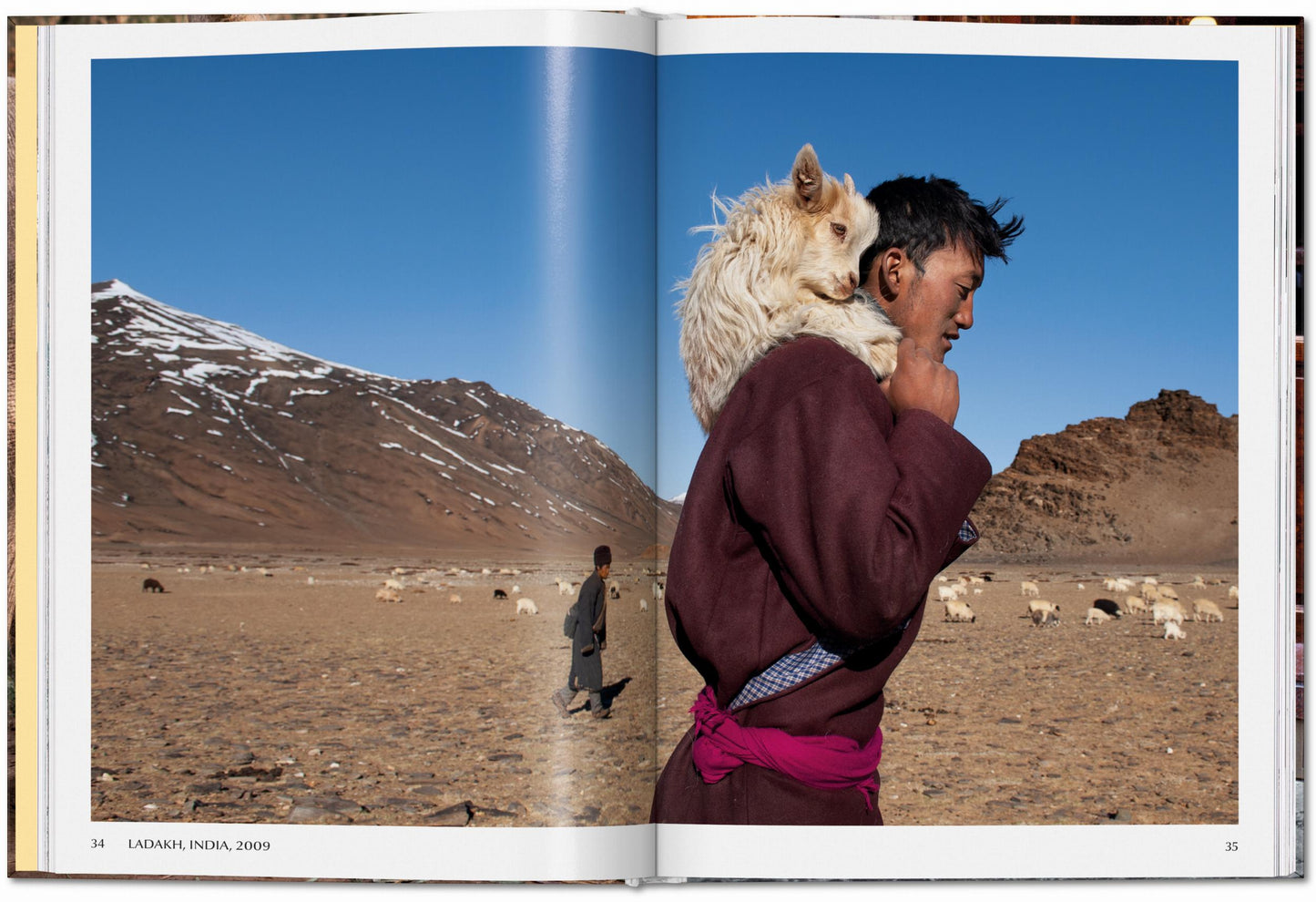 Steve McCurry. Animals (English)