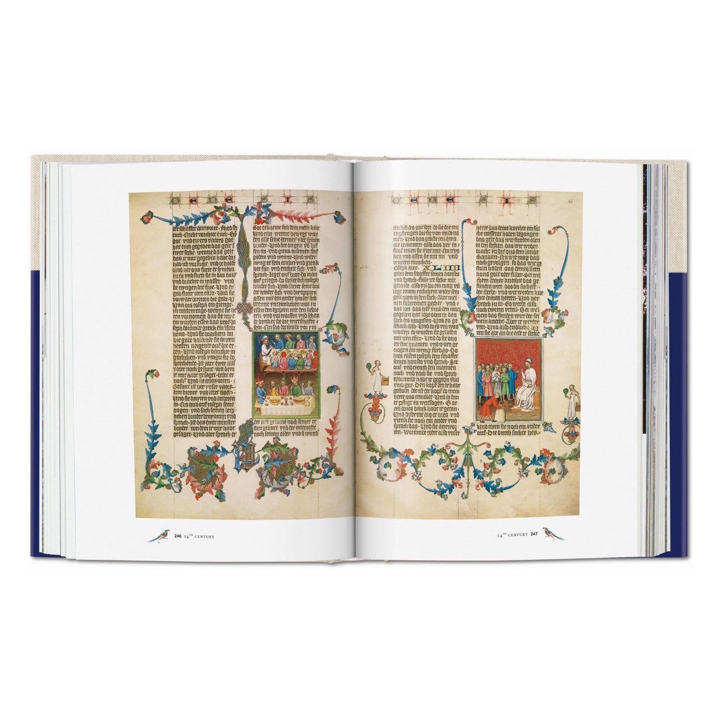 Codices illustres. The world's most famous illuminated manuscripts 400 to 1600 (English)