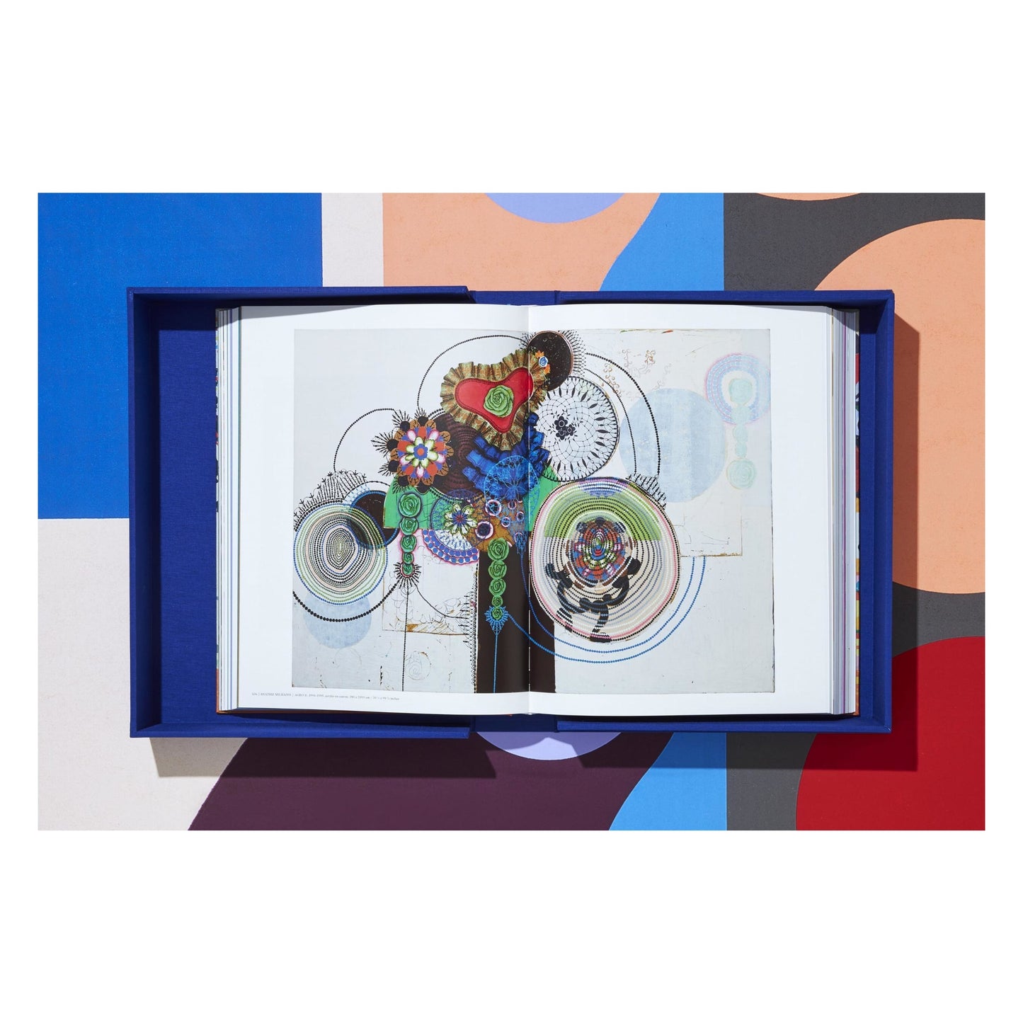 Beatriz Milhazes. Art Edition (German, French, English) (AP)