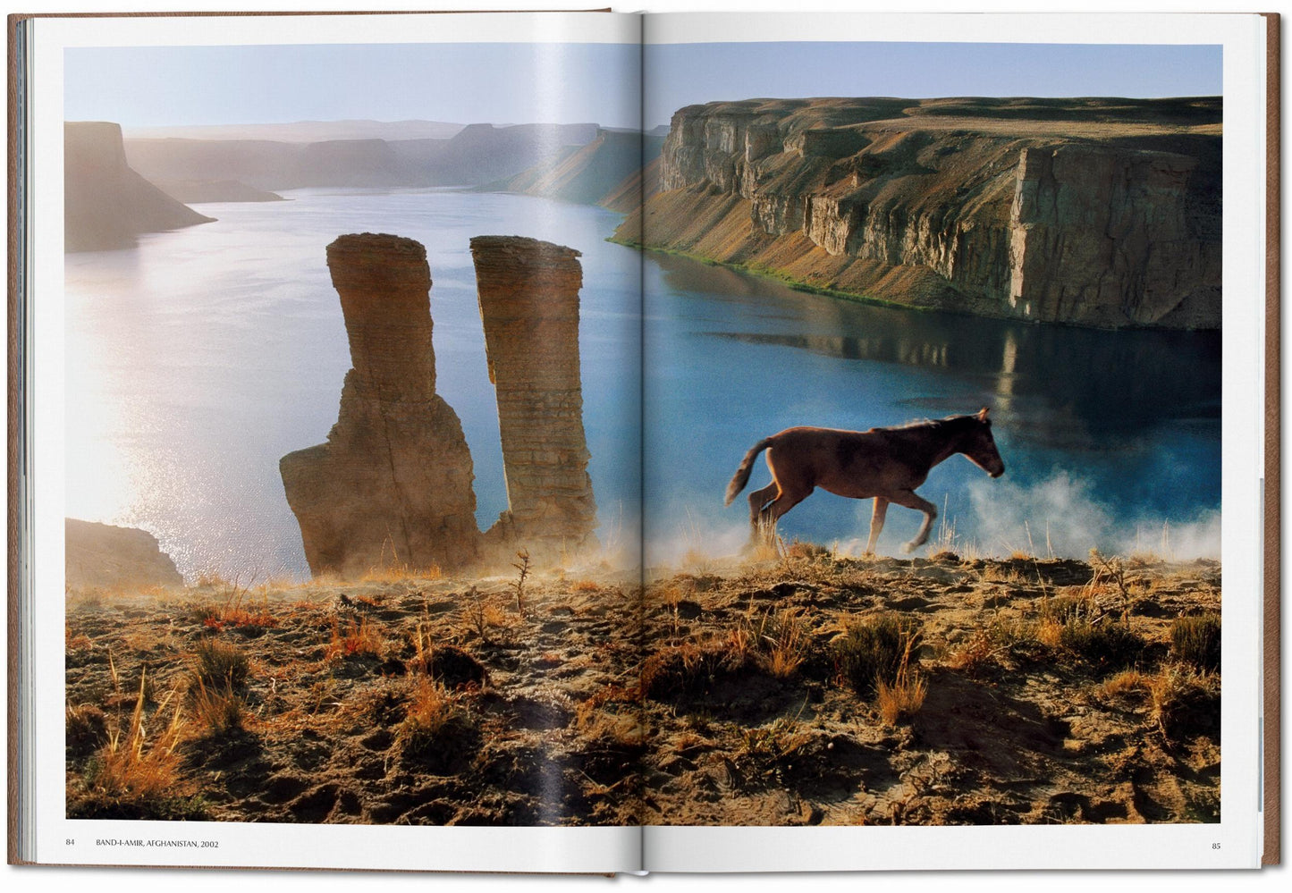 McCurry, Animals, Art A (German, French, English) (SA)