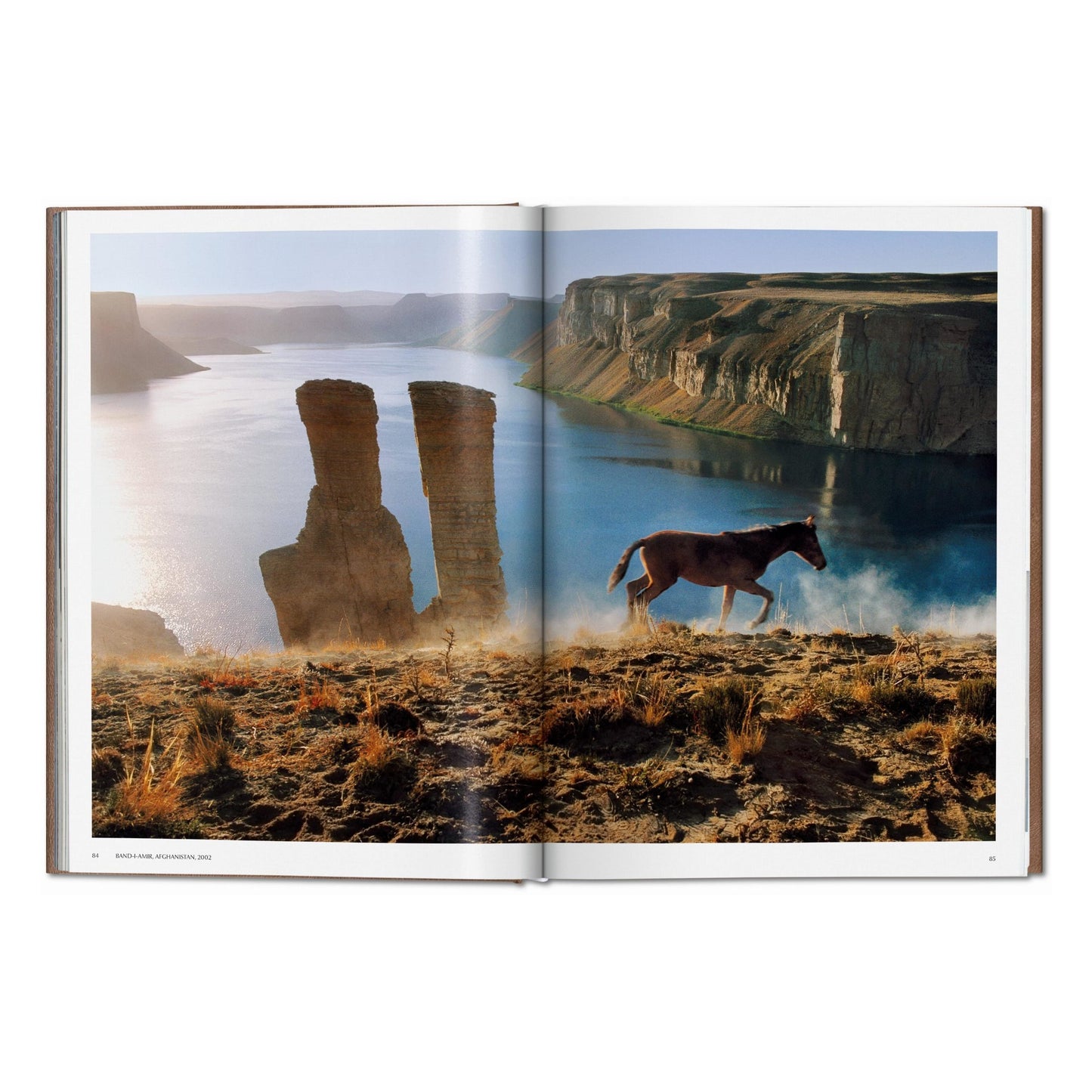 Steve McCurry. Animals. Art Edition No. 101–200 ‘Chennai, India, 1996’ (German, French, English)