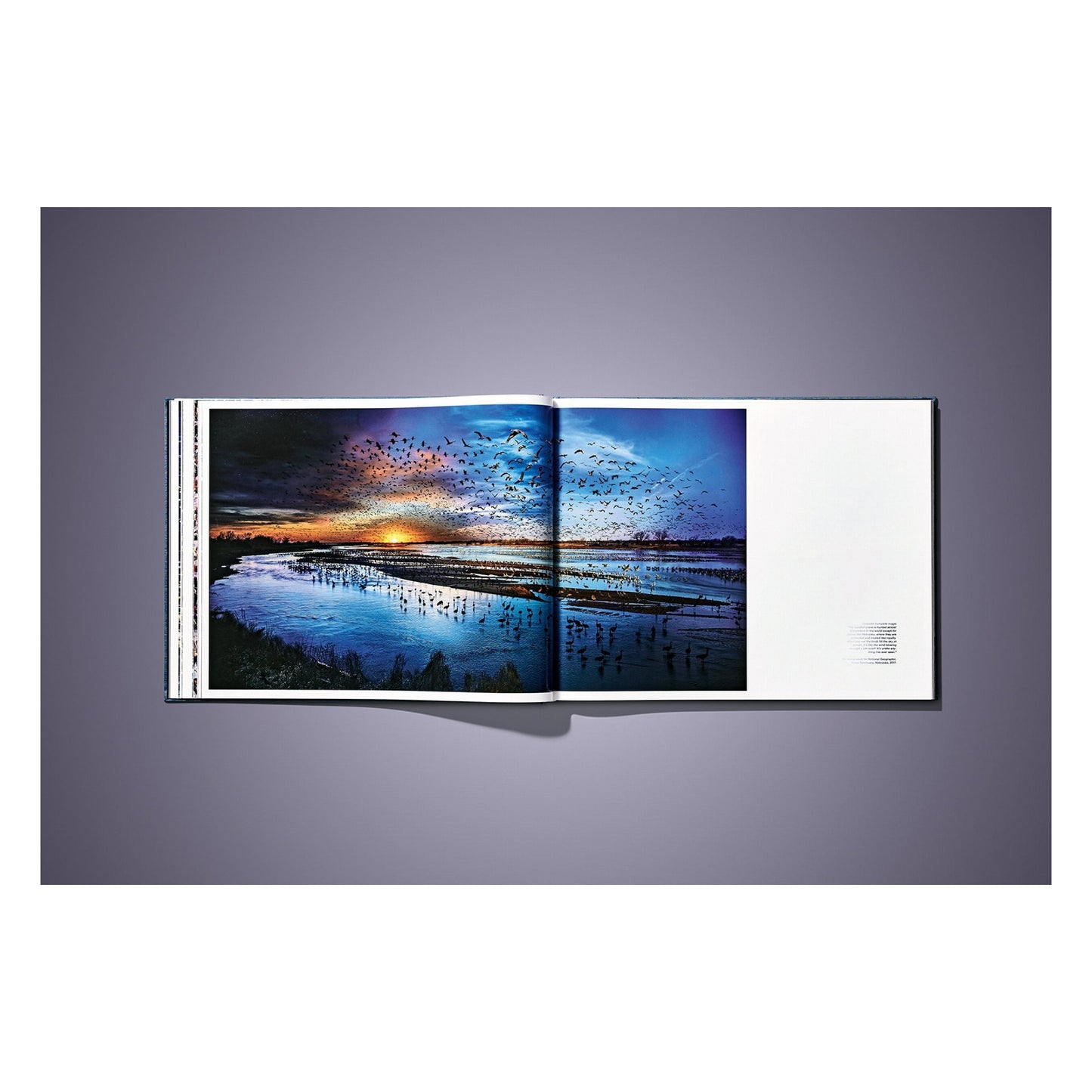 Stephen Wilkes. Day to Night. Art Edition B, 'Grand Canyon, Arizona, 2015' (German, French, English) (AP)