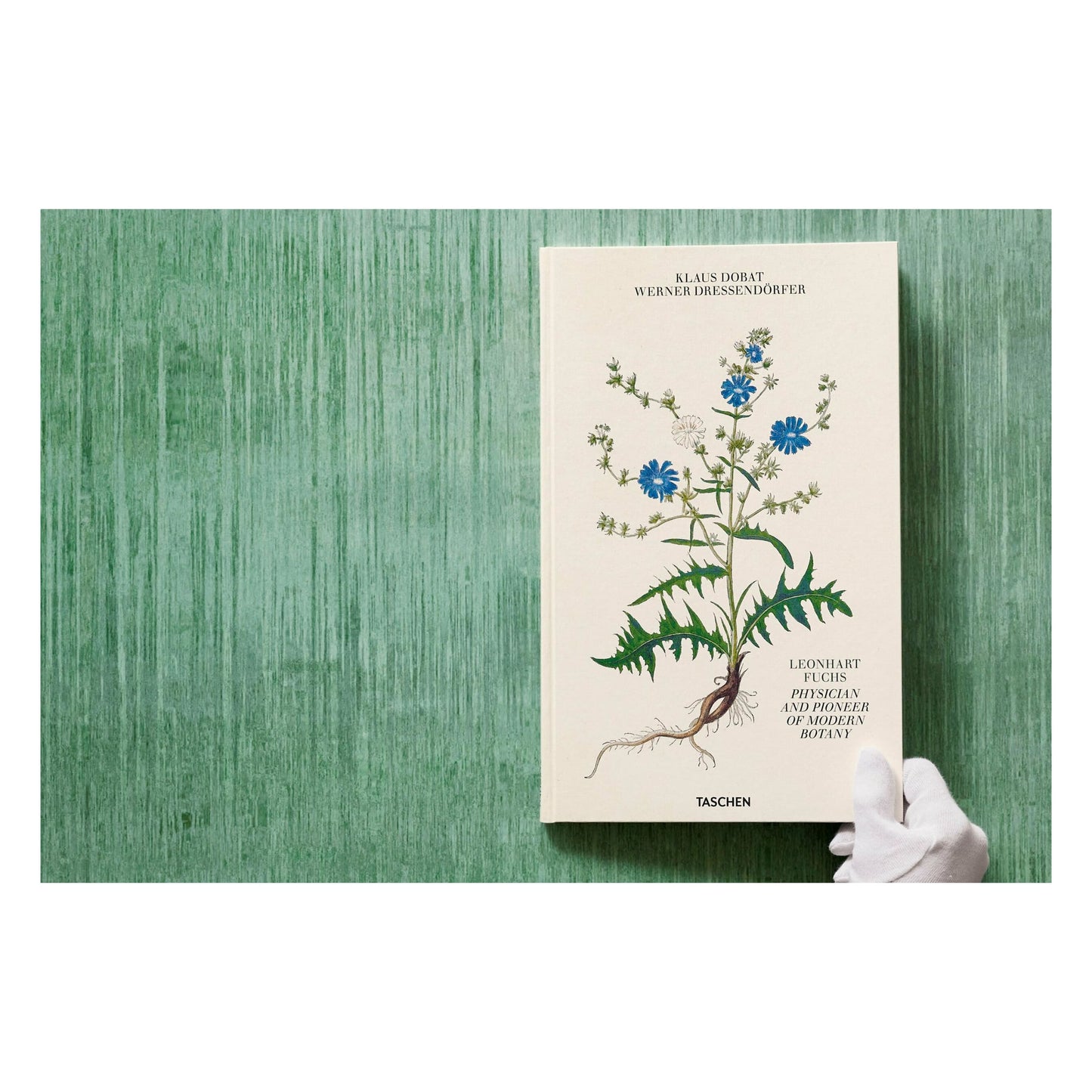 Leonhart Fuchs. The New Herbal (English)