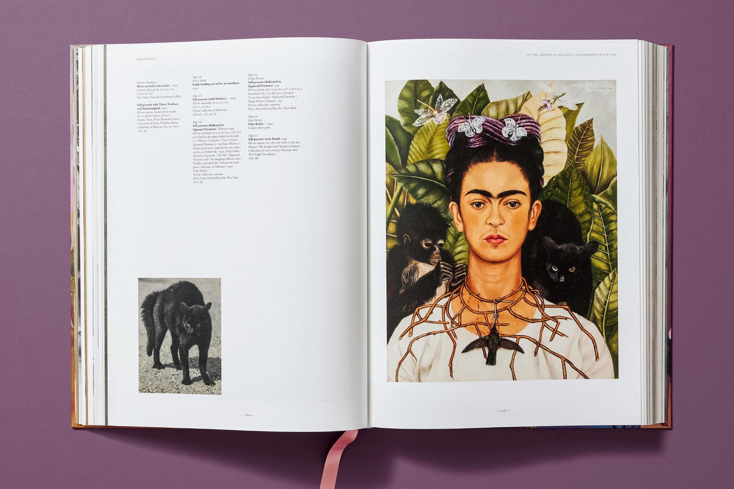 Frida Kahlo. Obra pictórica completa (Spanish)