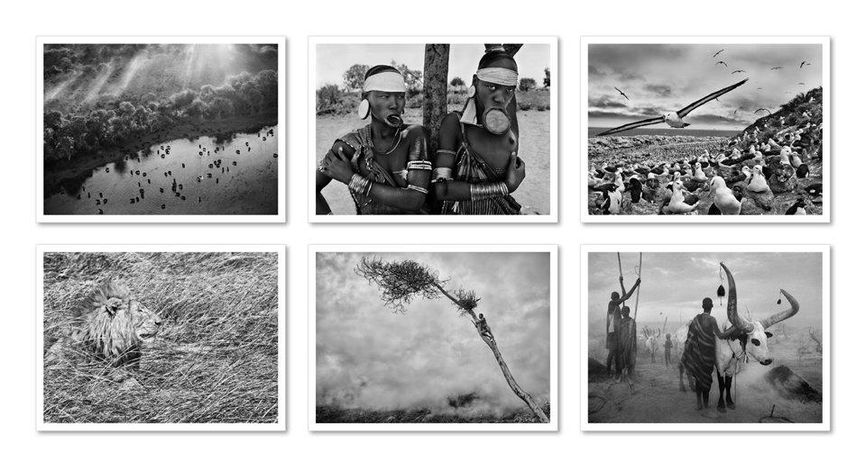 Sebastião Salgado. Genesis. Postcard Set (German, Spanish, French, English)