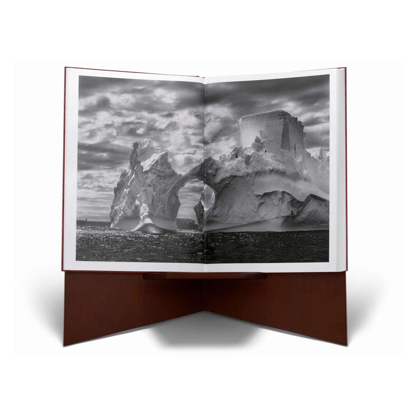 Sebastião Salgado. GENESIS, Art Edition No. 201–300 ‘Black-Browed Albatrosses, Falkland Islands’ (English) (AP)